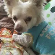 れー