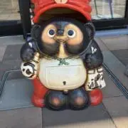 柚子ちゃの画像