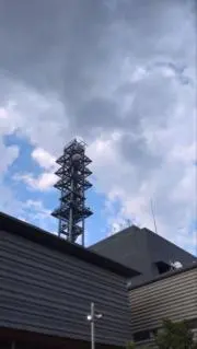 meruの画像