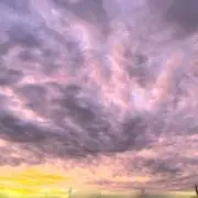 めろんぱんの画像