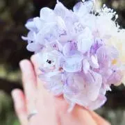 すみれ　♡1888件高評価に感謝♡