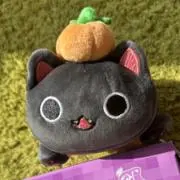 cocobの画像