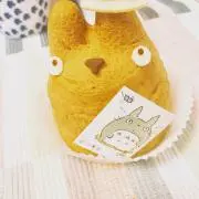 ゆりっぺの画像