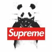 Supremeの画像