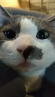 krswtmkrの画像