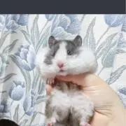 ジョンファンの画像