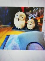 ☆ふくろう☆の画像