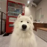 ✈️の画像