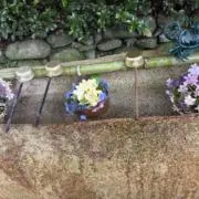 なのはな