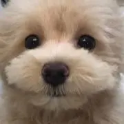 豆菓子の画像