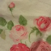 エミリー
