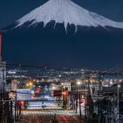 マッカランの画像