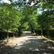 まゆまよ※プロフ必読