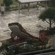 キッミ