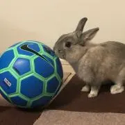 代打？オカン！