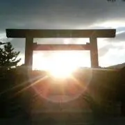 まいまいの画像
