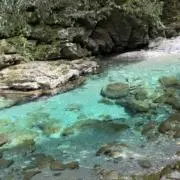 WESTの画像