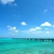 さおりの画像