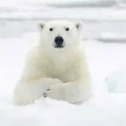 sanaの画像