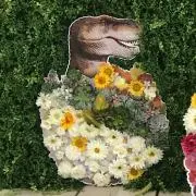 ともちんママの画像