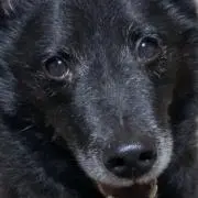 ヒデトムの画像