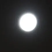R.y購入前にコメント下さいの画像