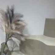 ゆう