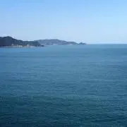 ゆず
