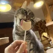にゃる