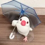 ハロ