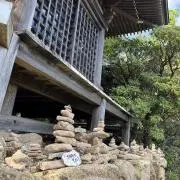 ちゃがまの画像