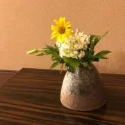 miaの画像