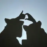 MIYABIの画像