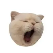 らにの画像