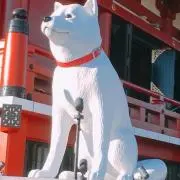 るーみー