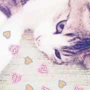 ももぴ