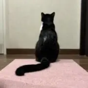 冬子の画像