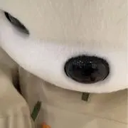 み(※プロフィールに詳細記載)の画像
