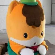 こあ*断捨離中の画像