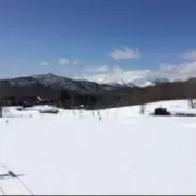 SWIX】WC PRO JR 110cm パンチガード付き - メルカリ