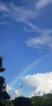 マイメロ♡の画像