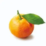 MIKAN
