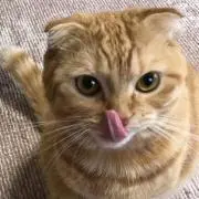 ゆみ
