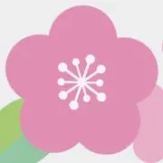 梅の花の画像