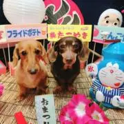 ともの画像