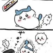 うさこ　ちいかわ推し