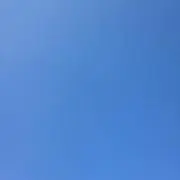 igagiの画像