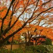 sunsunsunの画像