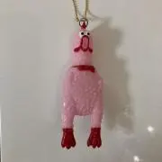 くーの画像