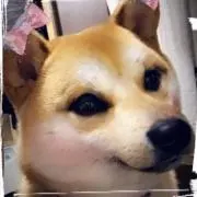 HanAya